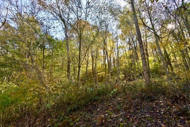 0 Old Scout Cabin Ln unit 202146844, Mitchell, IN 47446 - photo 4