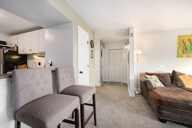 722 W Kilgore Rd unit 301, Kalamazoo, MI 49008 - photo 7