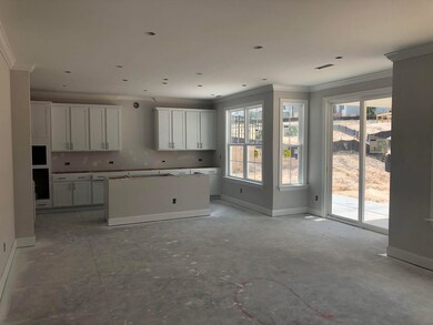 Kitchen - cabinets are in!