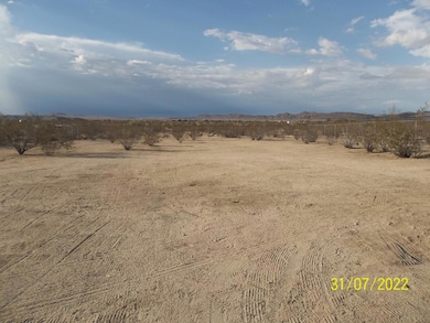 64806 Chollita Rd, Joshua Tree, CA 92252 - photo 4