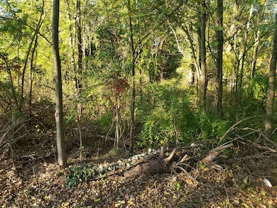 7234 Ash Place, Gary, IN 46403 - photo 3