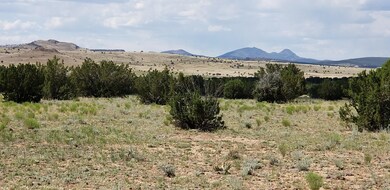 20190618_145356