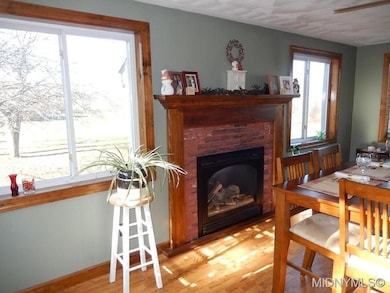 Propane Gas Fireplace