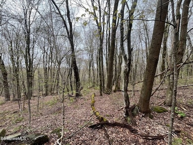 0 Manley Phelps Rd unit 73369553, Monroe, MA 01350 - photo 7