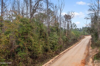 XXX White Rd unit 1.14 Acres, Chipley, FL 32428 - photo 2