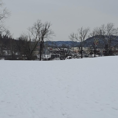 0 Above Rt 2 at Forbes & Energy Hwy unit 138670, New Martinsville, WV 26155 - photo 4