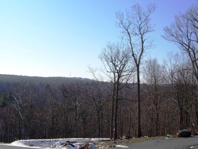 110 Blue Heron Way, Hawley, PA 18428 - photo 4