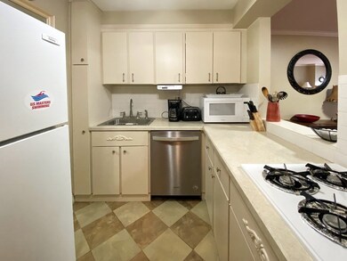 Tremont on the Common unit 6D, Boston, MA 02111 - photo 5