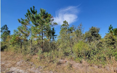 0 Brown Rd unit 123992, Lee, FL 32059 - photo 6