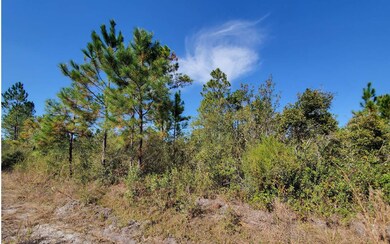 0 County Line Rd unit 123992, Lee, FL 32059 - photo 6