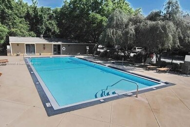 Ginormous Pool with tons of space 