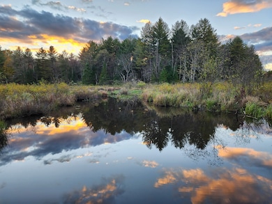 4255 Factory Rd, Natural Bridge, NY 13665 - photo 3