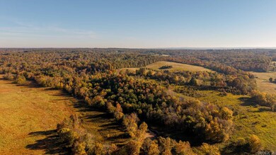 15256 Highway 9 N, Mammoth Spring, AR 72554 - photo 7