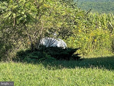 19 Middle Rd, Hegins, PA 17938 - photo 4