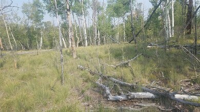 304 Old Squaw Rd, Como, CO 80432 - photo 3