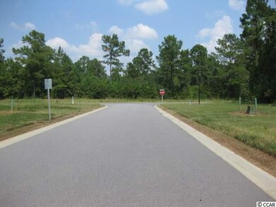 TBD Hemingway Chapel Rd, Conway, SC 29526 - photo 3