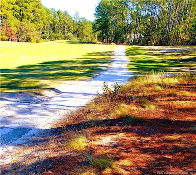 30121 Deercroft Dr, Wagram, NC 28396 - photo 6