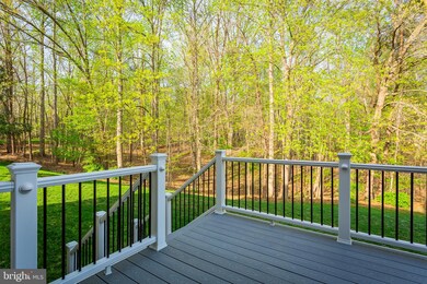 12601 Clifton Hunt Ln, Clifton, VA 20124 - photo 6