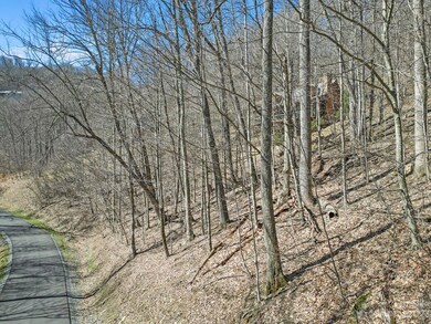 16 Chestnut Village unit 16, Mars Hill, NC 28754 - photo 7