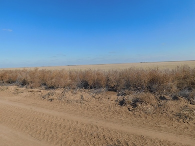 SW 1/4 13-6N-13 SW Texas County, Guymon, OK 73942 - photo 4