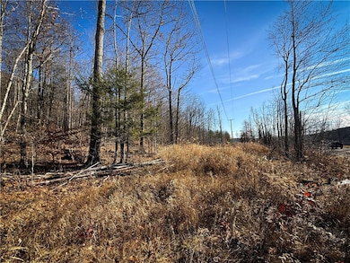 Lot-02 Langford Creek Rd, van Etten, NY 14889 - photo 7