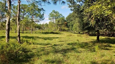 0 Litchfield Loop unit P4913211, Winter Haven, FL 33884 - photo 6