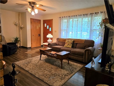 14317 N 920 Rd E, Fairmount, IL 61841 - photo 5