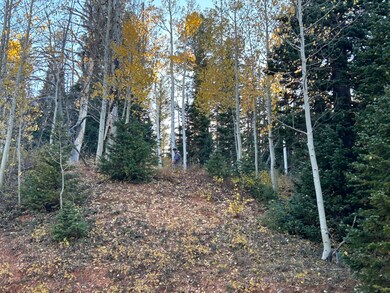 IMG_7400