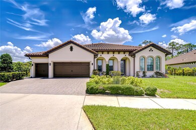 4122 Natural Vista Ct, New Port Richey, FL 34655 - photo 5