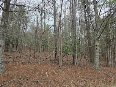 TBD Taylors Chapel Rd, Fries, VA 24330 - photo 4