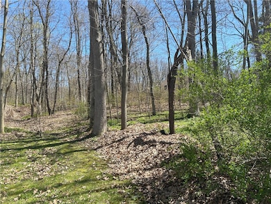 0 Janes Rd, Castile, NY 14530 - photo 6