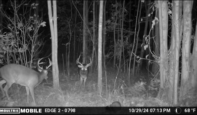 3050 County Highway 167, Hackleburg, AL 35564 - photo 6