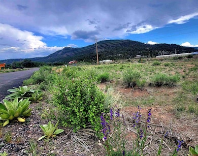 132 Big River Way, South Fork, CO 81154 - photo 3