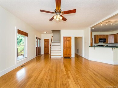 33 Spring Creek Trail, Asheville, NC 28806 - photo 4
