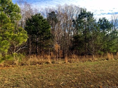 6009 New Wilkinson Way, Williamsburg, VA 23188 - photo 6