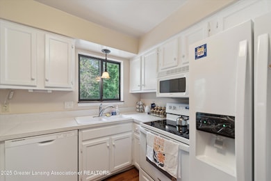 6029 Ellendale Dr, Lansing, MI 48911 - photo 5