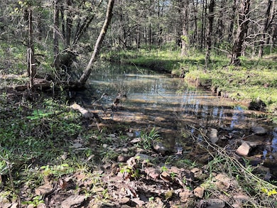 100752 S 4497 Rd, Vian, OK 74962 - photo 7
