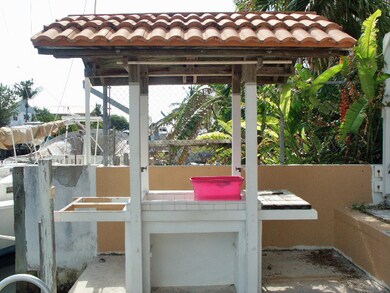 Fish Cleaning Station