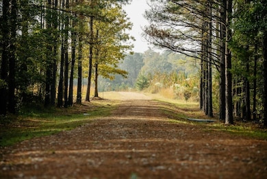 971 Somerest Rd SE, Bogue Chitto, MS 39629 - photo 2