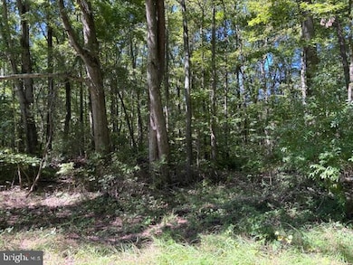 38.6 +/- Acres Wheatleys Pond Rd, Smyrna, DE 19977 - photo 2