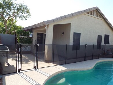 backyard (3)