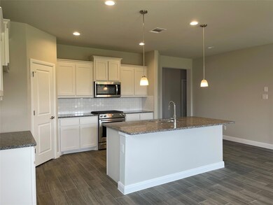 2373 Briscoe Ranch Dr, Hudson Oaks, TX 76087 - photo 4