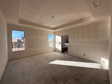 138 Brush Creek Dr, Boyd, TX 76023 - photo 5