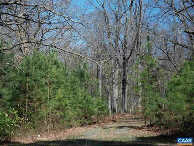 62 Buck Mountain Rd, Earlysville, VA 22936 - photo 6