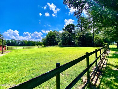 9750 Penderlea Hwy, Willard, NC 28478 - photo 6