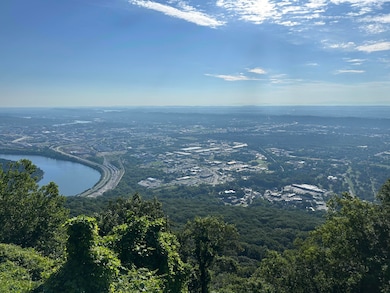 1107 E Brow Rd, Lookout Mountain, TN 37350 - photo 7