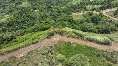 Carr 773 Km 2 6, Barranquitas, PR 00794 - photo 6