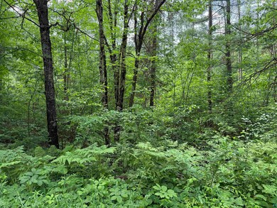 0000 Pokegama Dr, Lac Du Flambeau, WI 54548 - photo 2