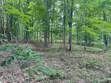 11605 S Tower Rd unit 5, Kasson Township, MI 49664 - photo 3