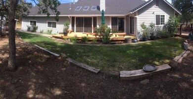 back yard